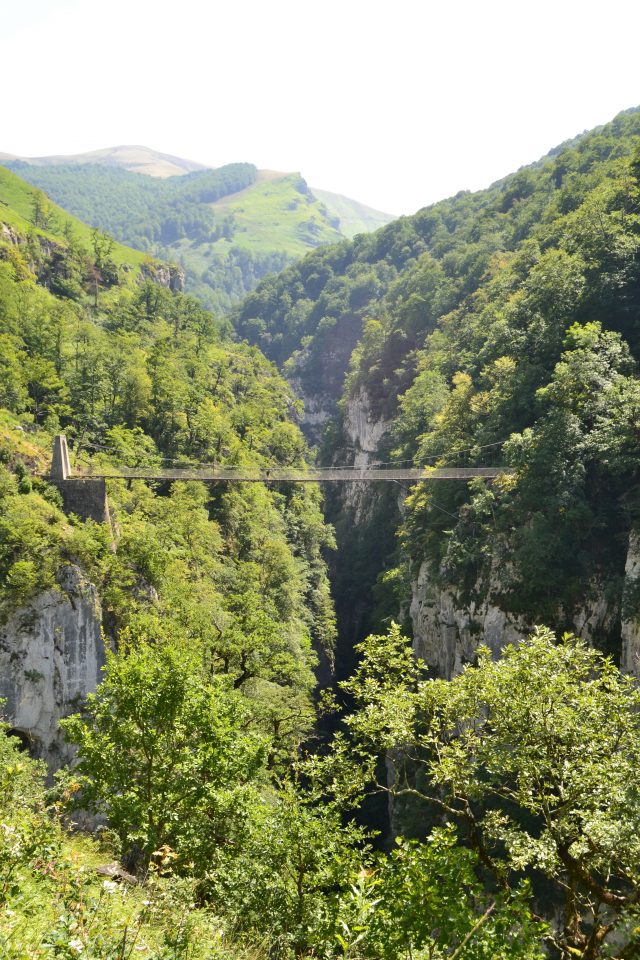 Excursionnes / Montaña